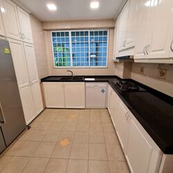 Cavenagh House (D9), Apartment #579907471
